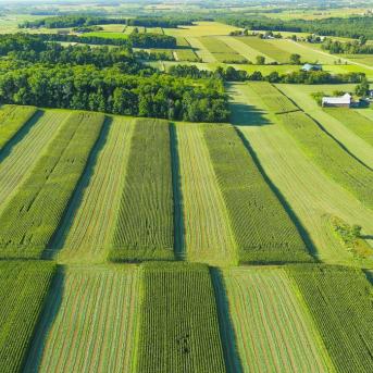View of farms in Wisconsin