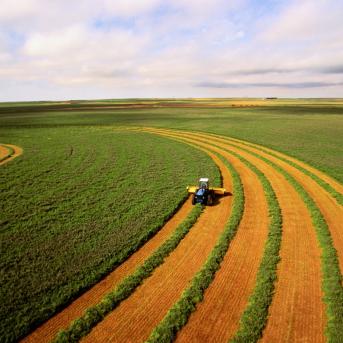 View of alfalfa harvest in Dodge City, Kansas